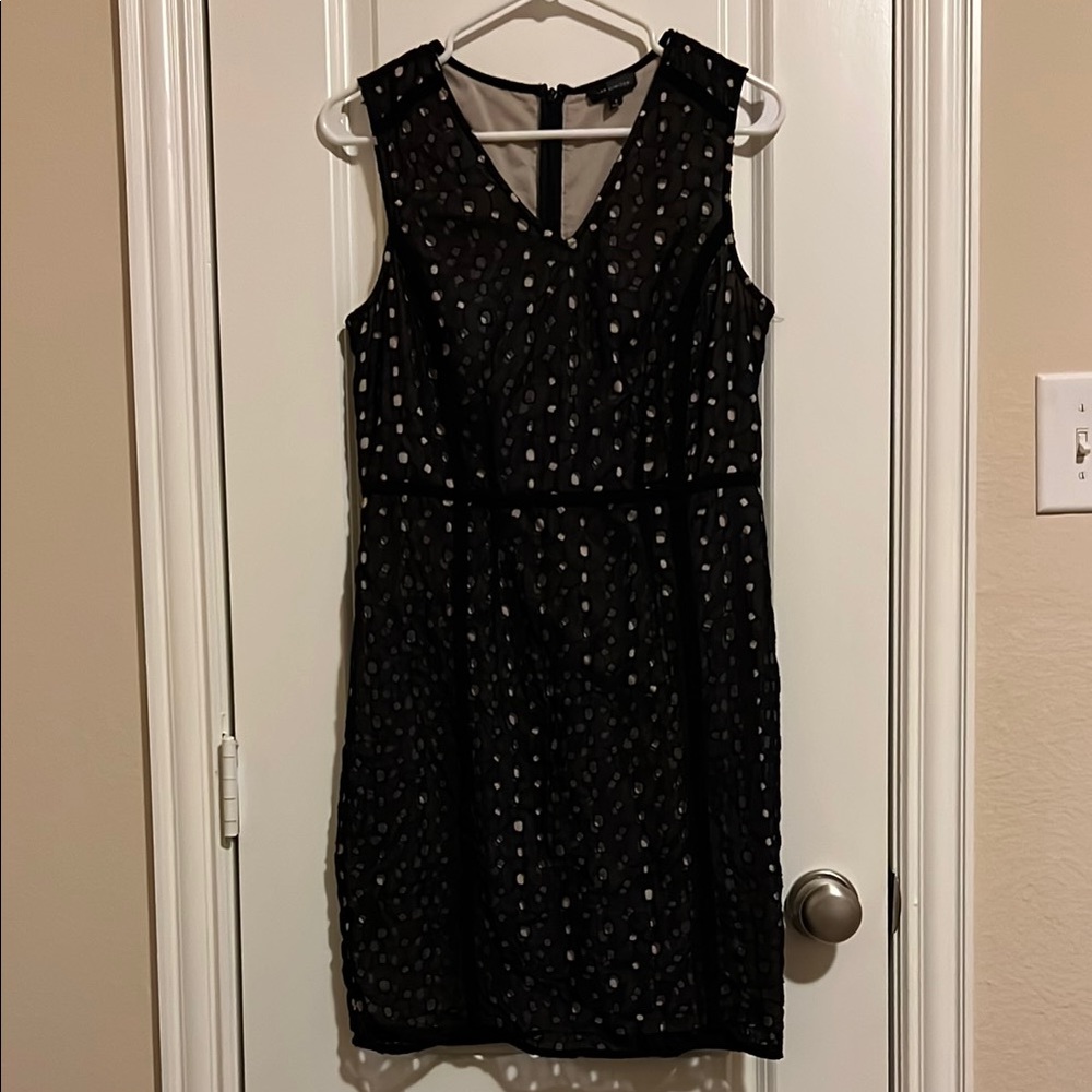 The Limited Black/ Cream Dress